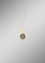 Bezaubernde Anhänger  