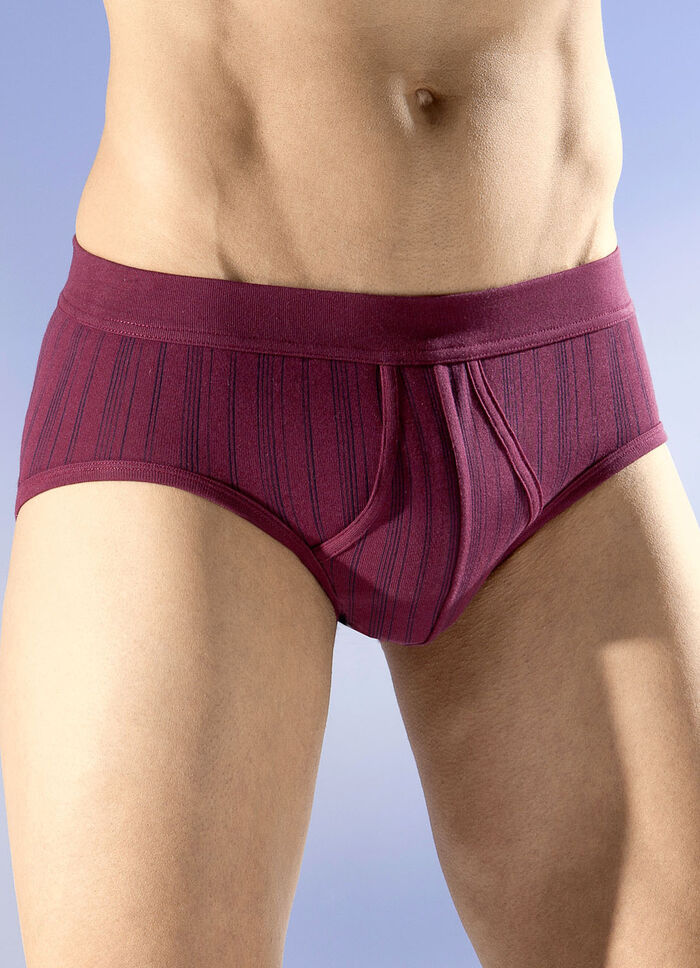 Schiesser Zweierpack Slips mit Streifendessin 2X BORDEAUX