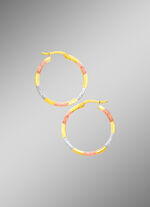 Schicke Creolen in Tricolor 