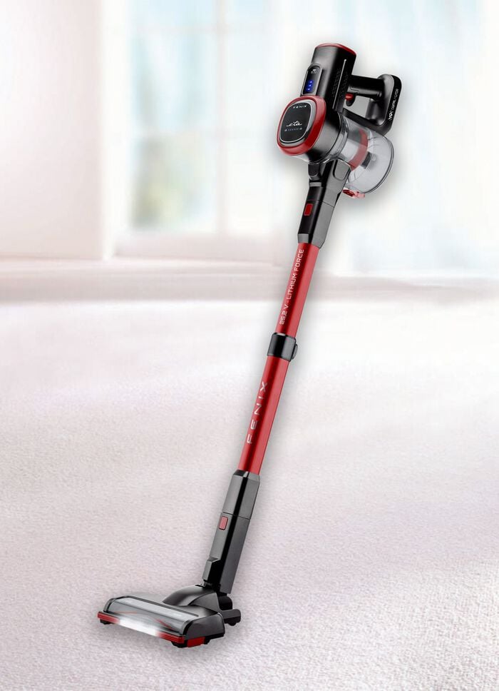 eta F&Eacute;NIX 2-in-1 Akku-Handstaubsauger 