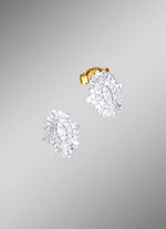 Exklusive Diamant-Ohrringe 