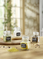 Dekorative Gew&uuml;rzgl&auml;ser, 4er-Set 