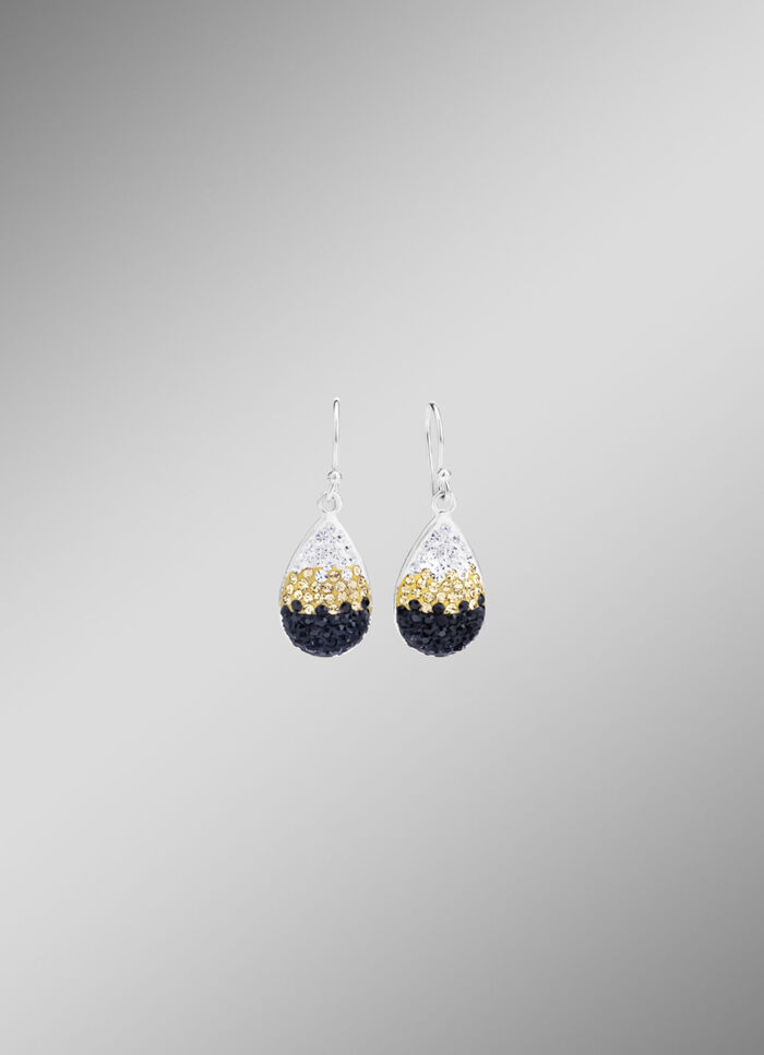 Funkelnde Ohrhaken mit Swarovski-Elements 