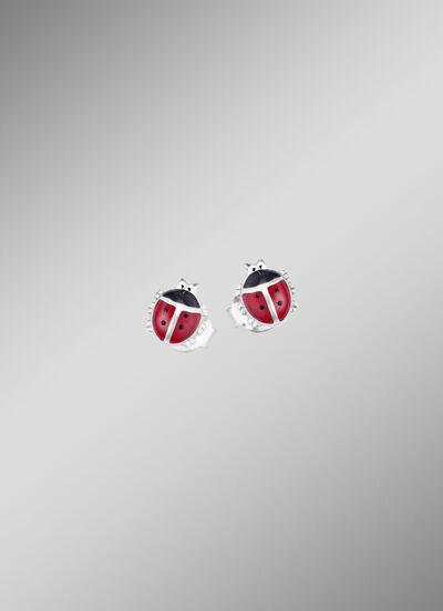 Ohrstecker als Marienkäfer 