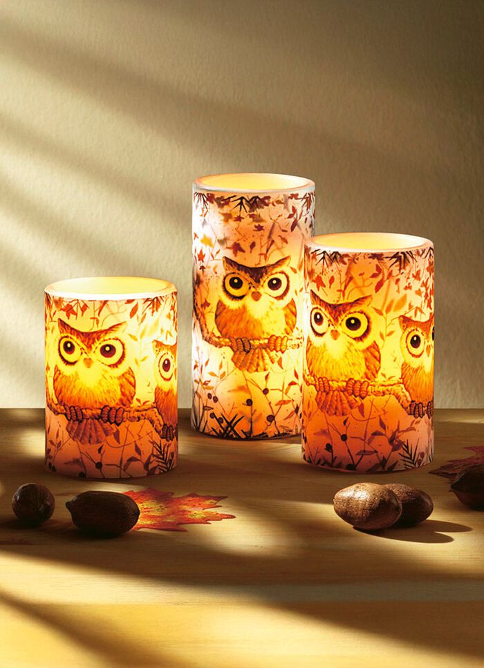 LED-Echtwachskerzen mit Eulenmotiv, 3er-Set 