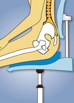 Keilkissen mit Sommerbezug und Winterbezug 