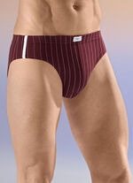 Viererpack Slips mit Streifendessin 