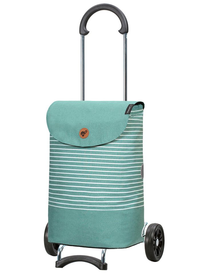 Leichter und robuster Einkaufsroller von Andersen 