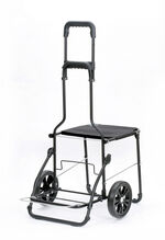 Andersen Einkaufsroller mit Sitzmöglichkeit GRAU