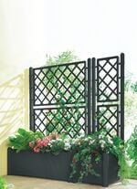 Pflanzkasten mit Spalierwand ANTHRAZIT