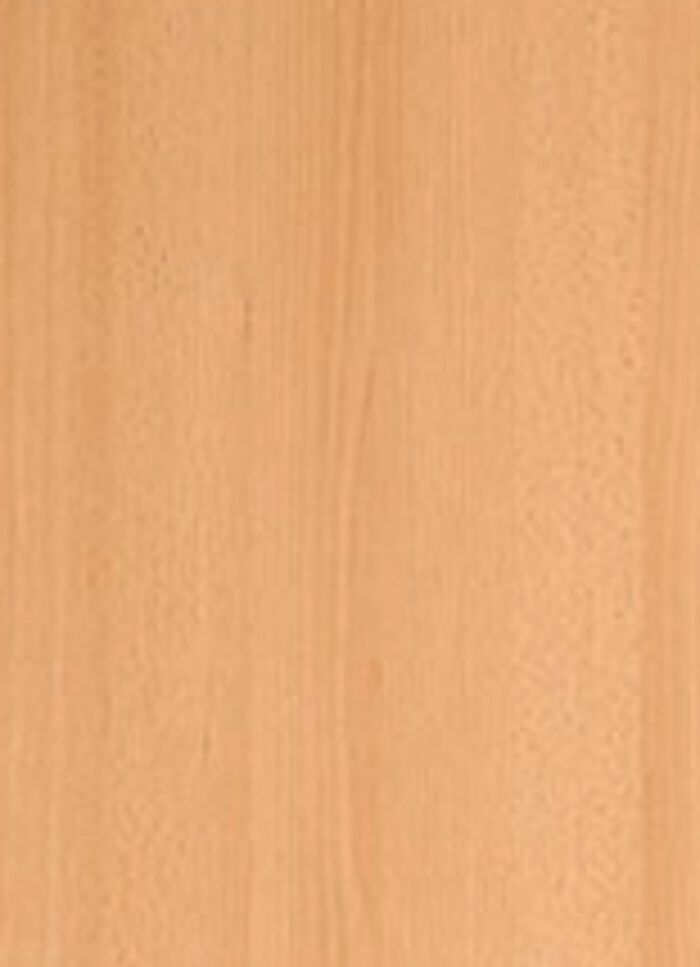 K&uuml;hlschrankumbau BUCHE