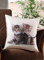 Kissenbezug mit K&auml;tzchen in Samtoptik 