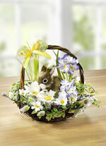 Weidenk&ouml;rbchen mit H&auml;schen 