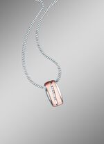 Anh&auml;nger mit synth. Zirkonia und Panzerkette 