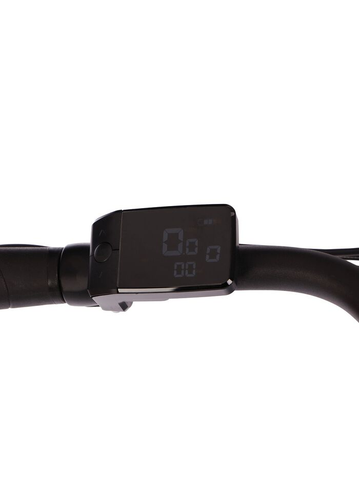 E-Bike Comfort Plus 5.0 von Saxonette 