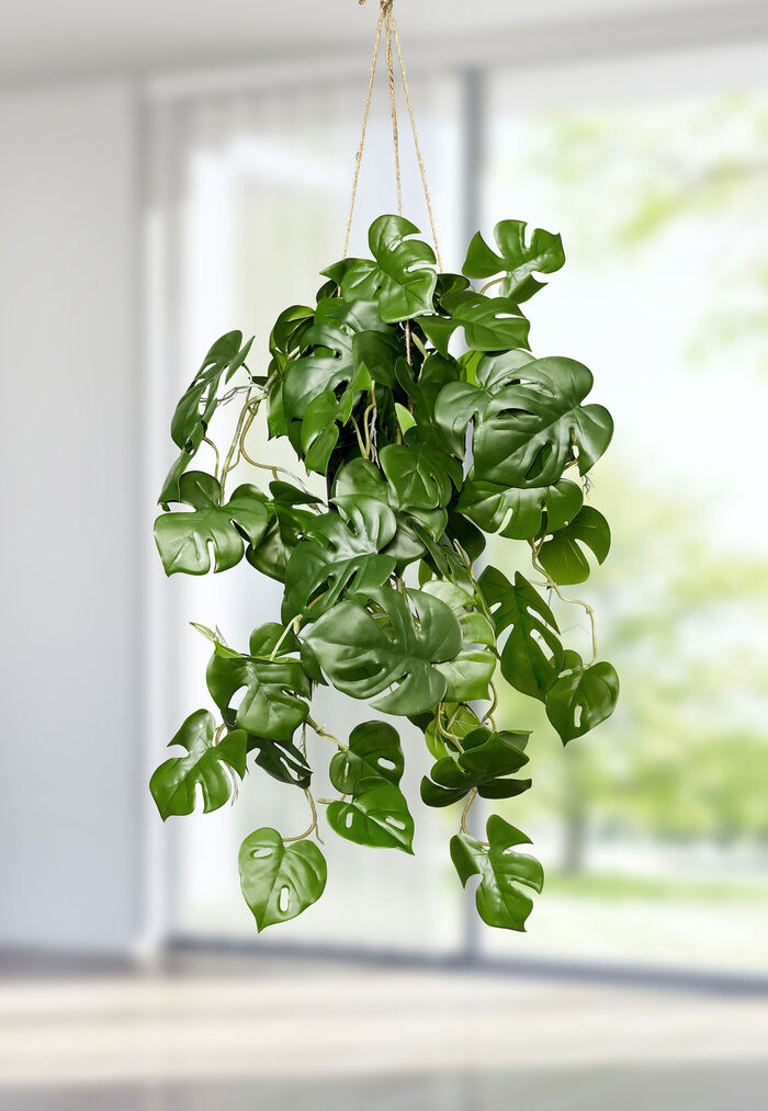 Splitphilohänger im Topf 