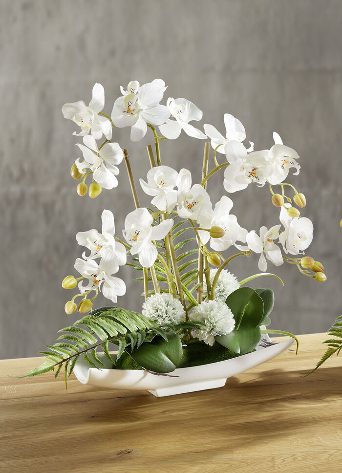 Orchideen-Arrangement in Schale WEISS