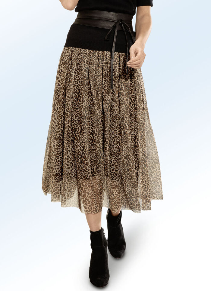 Rock in aktueller Leo-Dessinierung 