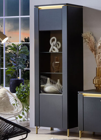 Vitrine mit LED-Beleuchtung und Softclose 