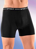 Viererpack Pants aus Feinjersey, uni bunt 