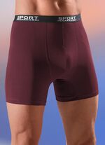 Viererpack Pants mit Elastikbund 