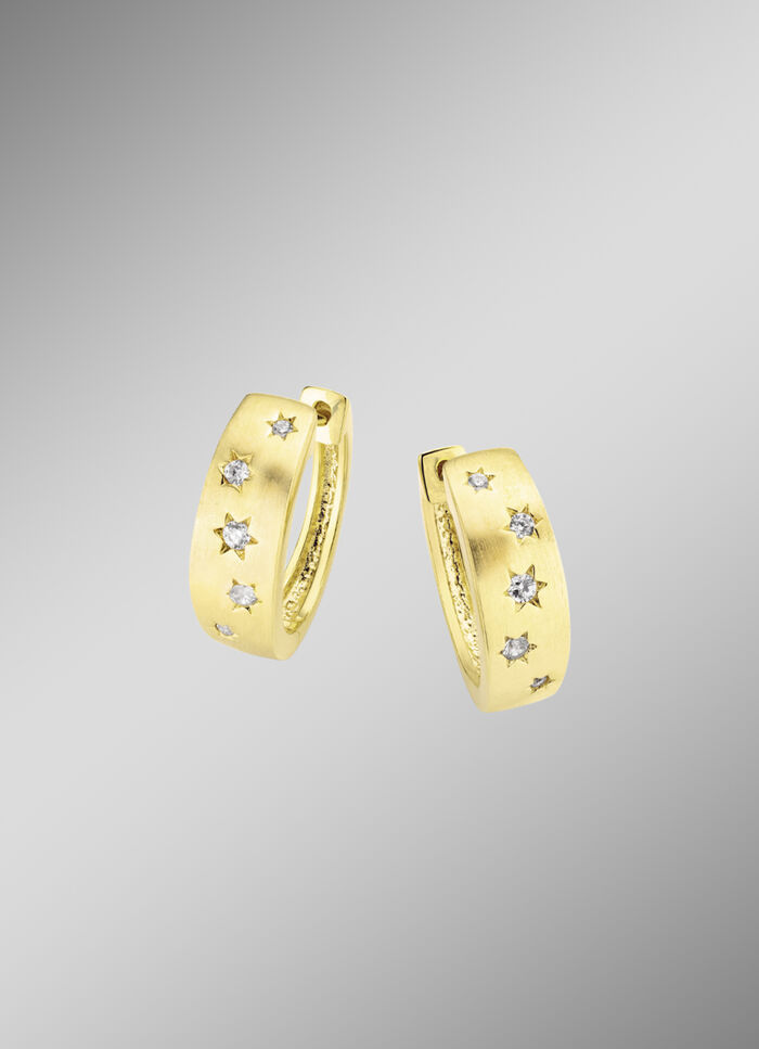 Hinreißendes Paar Creolen 