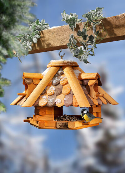 Vogelhaus-Pavillon aus Erlenholz 