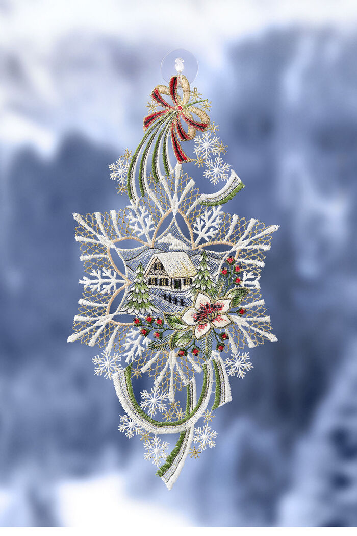 Fensterbild Winterlandschaft aus Plauener Spitze 