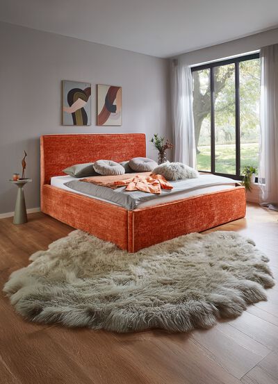 Modernes Polsterbett 