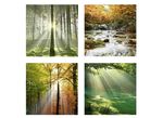 Bilder-Set, 4-teilig, mit Waldmotiven 
