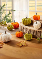 Deko-Kürbisse, 8er-Set 