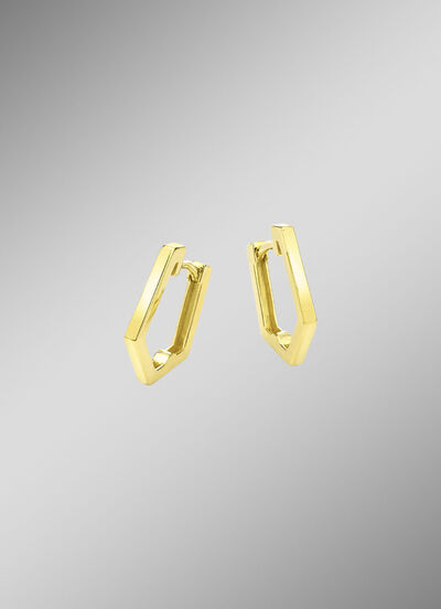 Glänzende Klappcreolen 