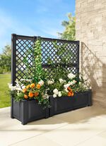 Pflanzkasten mit Spalier aus robustem Kunststoff 