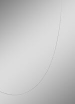 Feine Ankerkette aus Platin mit Karabiner 