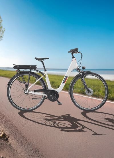 City-E-Bike RC836 von TELEFUNKEN 