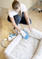 Dampfreiniger Livington SteamTouch 