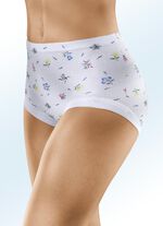 F&uuml;nferpack Slips mit auswechselbarem Gummizug im Bund 