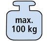 BADERde_DE1max_100kg_N_detail