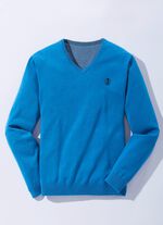 Modischer V-Pullover in 6 Farben 