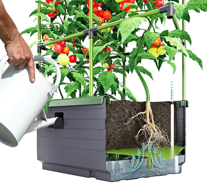 Rankkasten City Jungle 