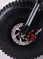 Maximus E-Cruiser - Die umweltfreundliche Alternative zum Motorrad 