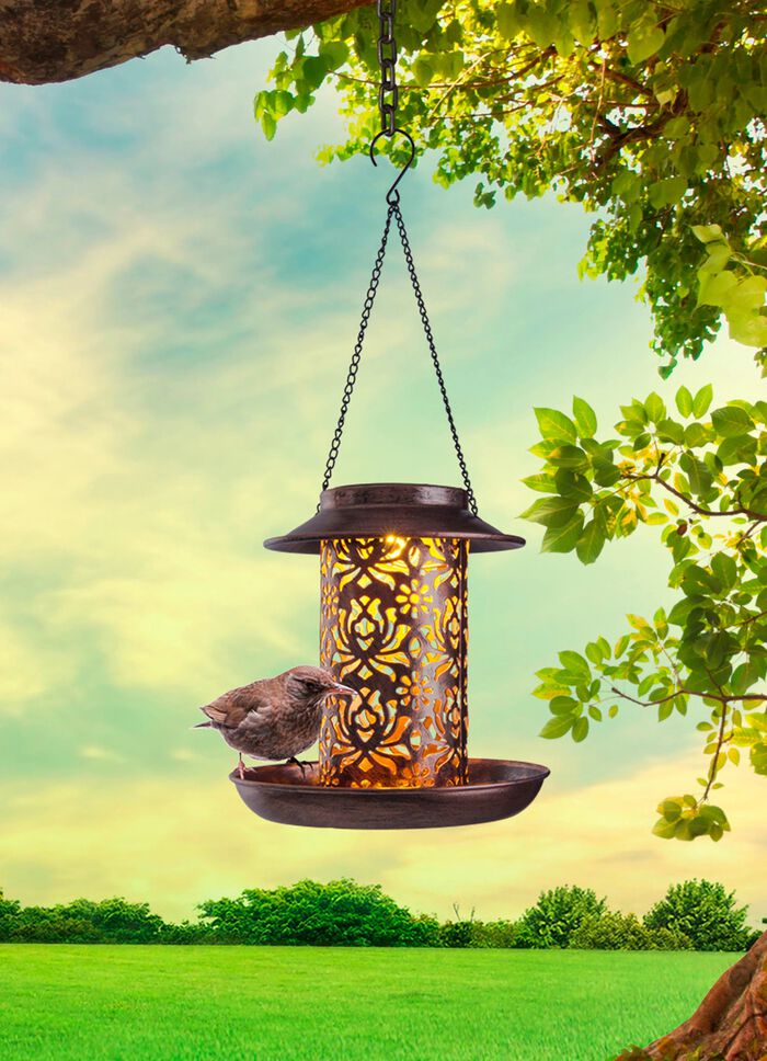 Solar-Leuchte/Futterstelle 