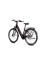 E-Bike Comfort Plus 5.0 von Saxonette 