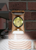 Solarleuchte mit Thermometer 