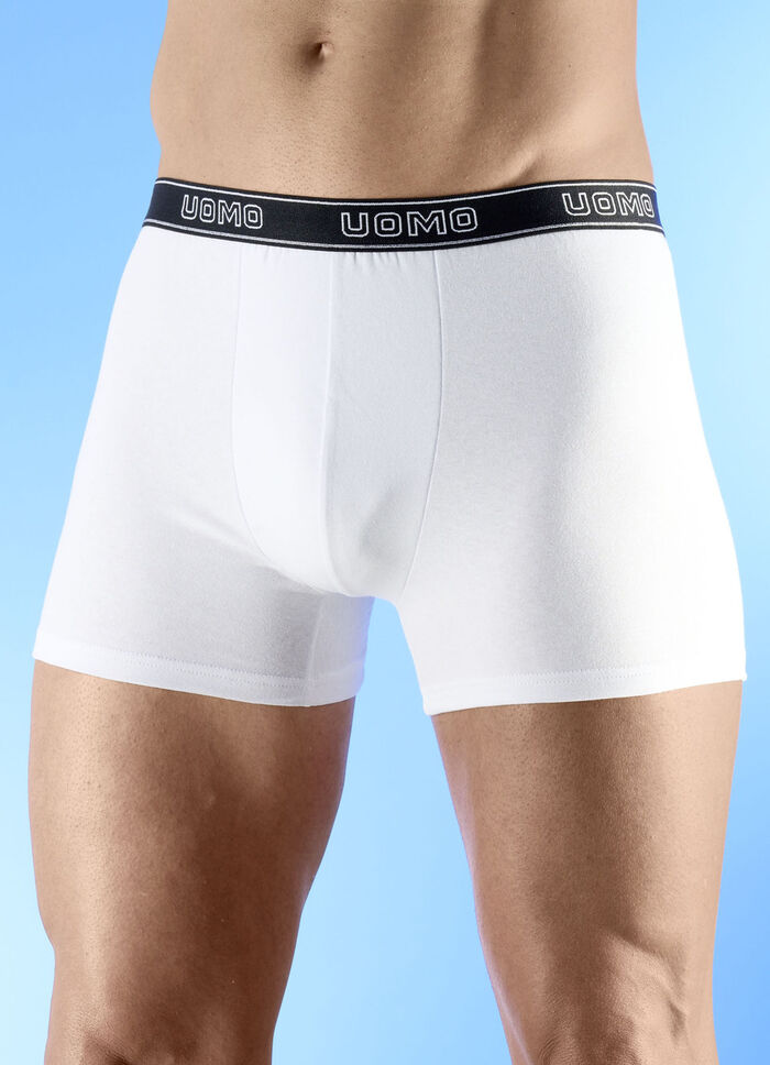 Sechserpack Pants mit Elastikbund 