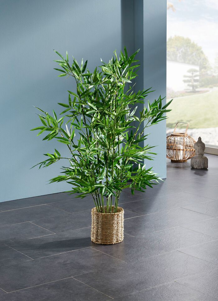 Bambus im  Wasserhyazinthen-Korb 