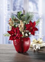 Weihnachtsstern im Apfeltopf 