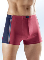 Sechserpack Pants mit Dehnbund 