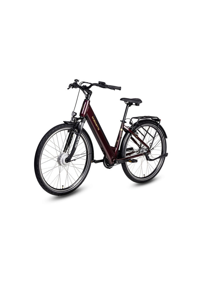 E-Bike Comfort Plus 5.0 von Saxonette 