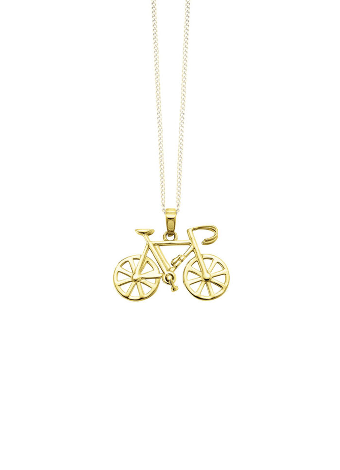 Fahrrad-Anhänger aus Gold  